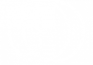 Foo Logo White